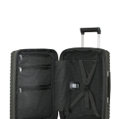 Чемодан 55 см Upscape CLIMBING IVY, Фото №2(Миниатюра) - samsonite.ua